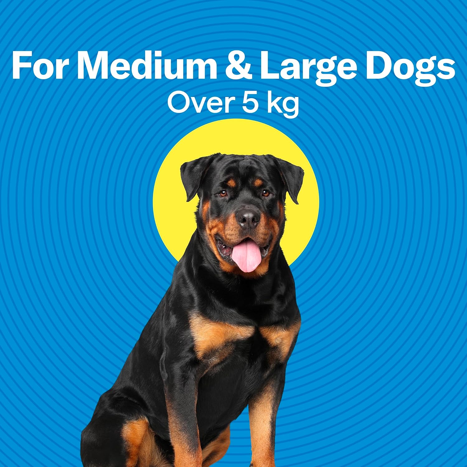 Dog sitting in front of a blue background with text indicating weight range for medium and large dogs at Pet Servo