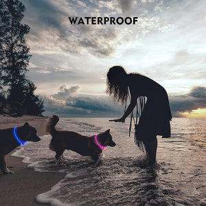 Dehlso - LED Dog Collar – Rechargeable Light-Up Safety Gear - Petservo