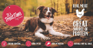 Dog lying on a leaf-covered ground with 'It's TreatTime' branding and text about real meat and protein sources at Pet Servo