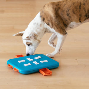Dog interacting with a blue and orange puzzle toy on a wooden floor at Pet Servo