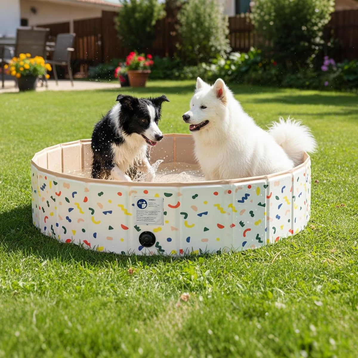 Two dogs, one black and white and one white, playing in a round inflatable dog pool with a colorful confetti pattern on a green grass lawn.
