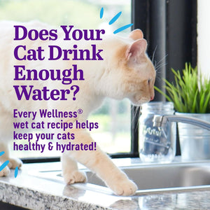 Cat drinking water from a faucet with promotional text about cat hydration and Wellness wet cat recipes at Pet Servo