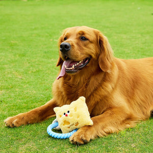 LUUKSUP - TUG Dog Toy - Cookie at Pet Servo