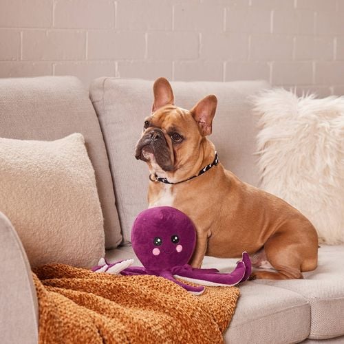 Happy Tails - Plush Strawberry With Rope - petservo