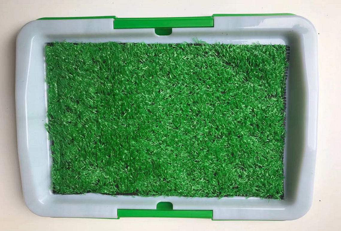 Rectangular tray with artificial grass surface on a beige background at Pet Servo