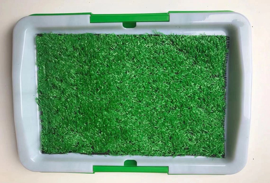 Green artificial turf mat inside a white plastic tray with green latch details, photographed from directly above on a light beige surface at Pet Servo