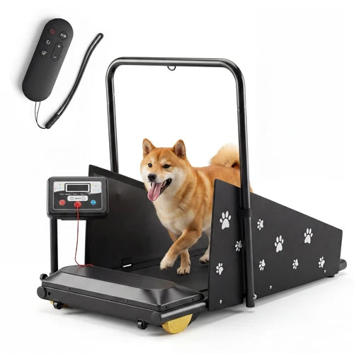 Dog treadmill with a Shiba Inu dog on it, remote control, and digital display on a white background at Pet Servo