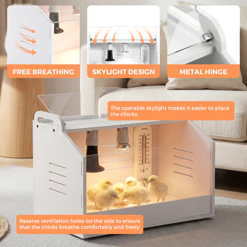 Chicken coop with features highlighted on a neutral background at Pet Servo