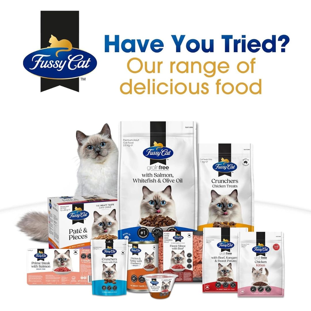 Fussy Cat pet food products including dry and wet cat food, treats, and a cat on a white background.