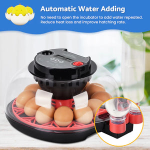 Egg incubator with automatic water adding system on a white background at Pet Servo