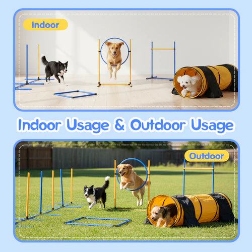 Dog agility equipment for indoor and outdoor use with dogs demonstrating at Pet Servo