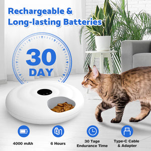 Cat walking towards a white pet feeder with product features highlighted.