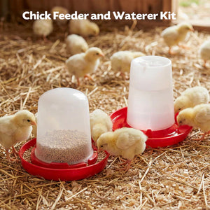 Chick feeder and waterer kit with chicks around on straw at Pet Servo