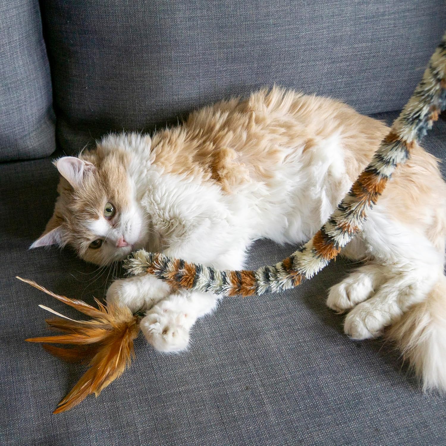 A fluffy long-haired cat lies on a gray fabric couch while playing with a feather-and-tail toy. The toy has a long-striped tail with black, white, and orange bands and a brown feather at one end at Pet Servo