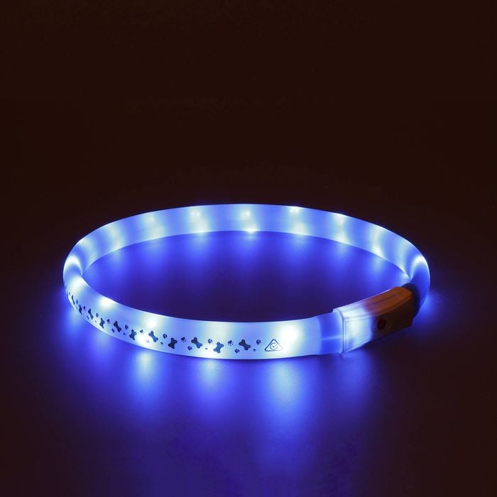 Blue LED dog collar on a dark background
