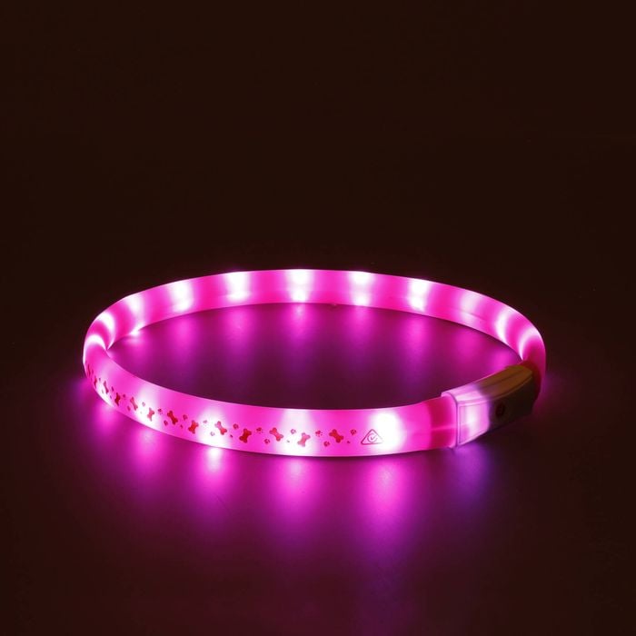Flamingo - Visio LED Dog Collar 70 x 2cm Pink