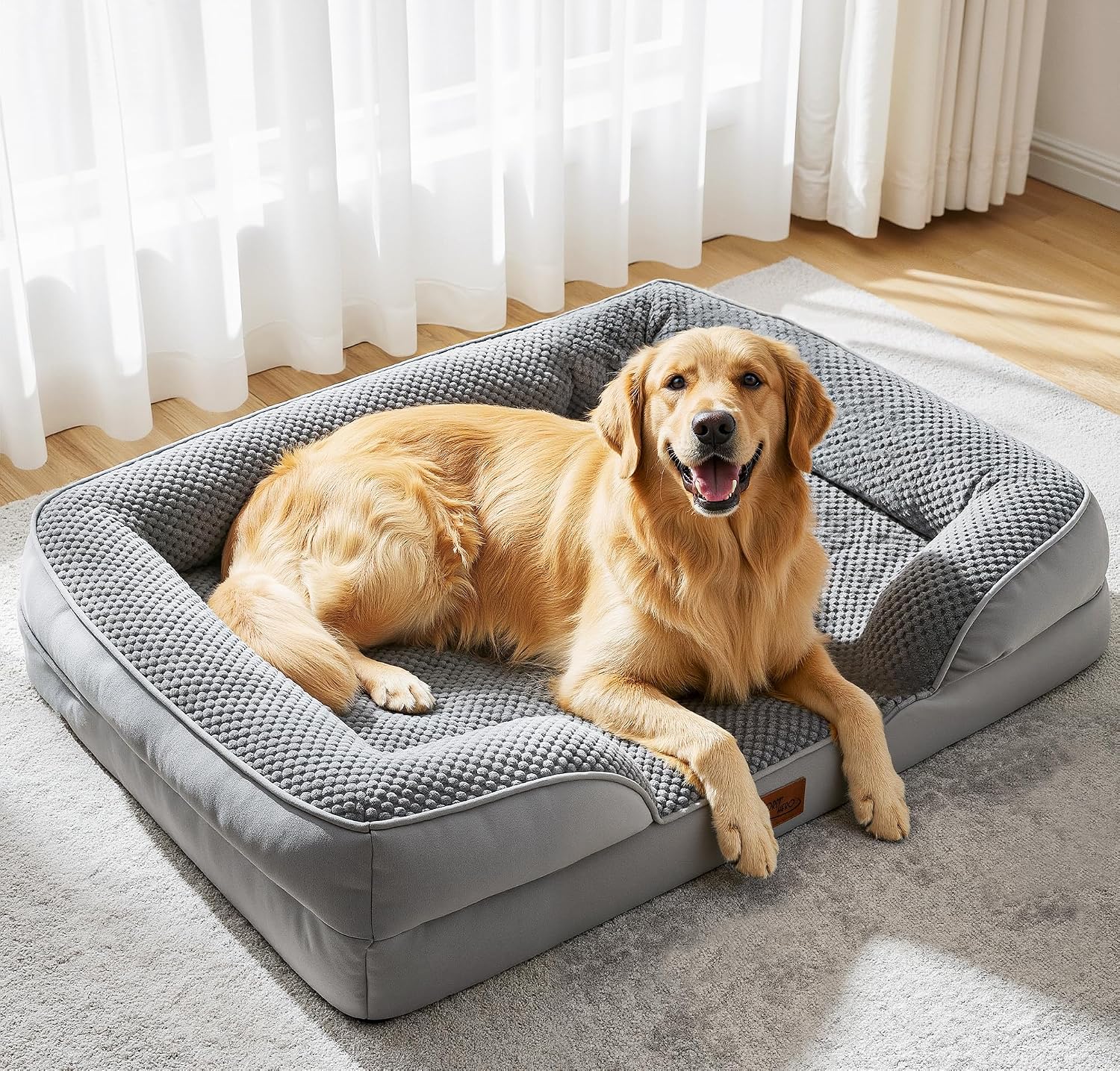 Dog lying on a gray pet bed in a room with light curtains.