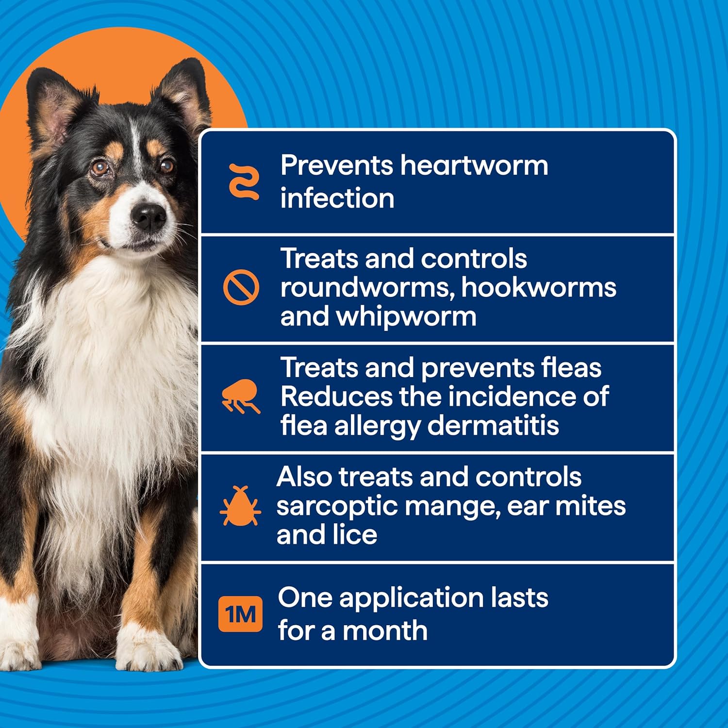 Dog with a blue label detailing pet care product benefits on a blue background at Pet Servo