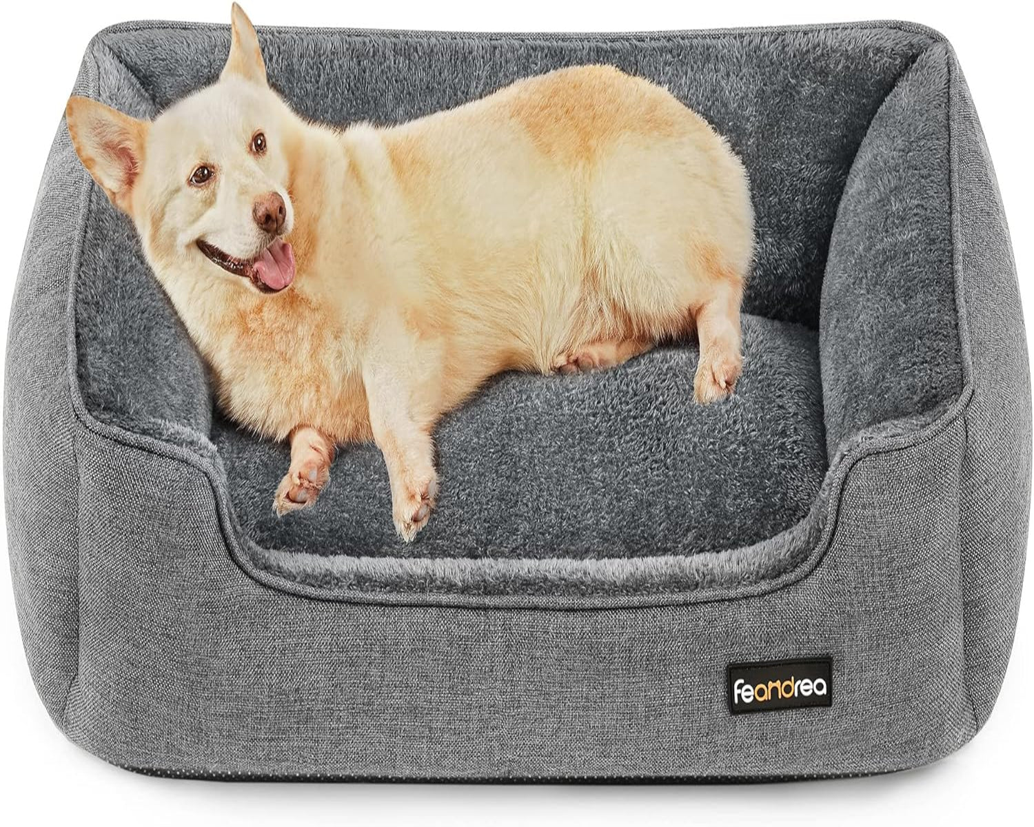Dog lying on a gray pet bed with 'Feandrea' branding