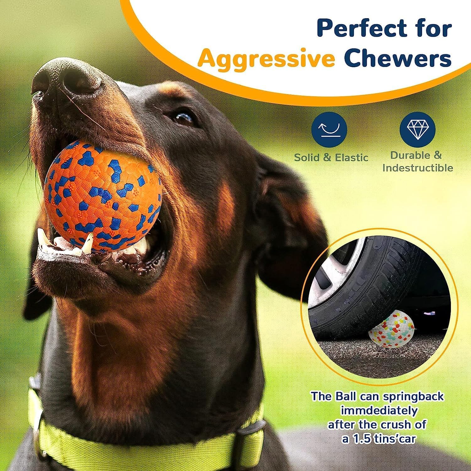 Dog playing with a ball, with text about durability and features at Pet Servo