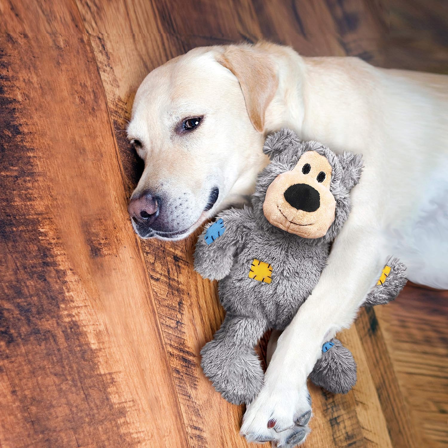Dog holding a plush toy on a wooden floor at Pet Servo