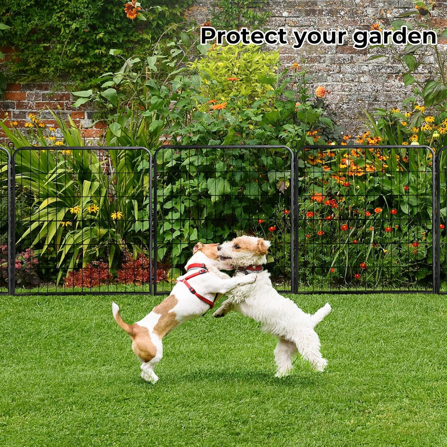 Two dogs playing on a green lawn in front of a black metal garden fence with a lush garden and brick wall background. The text 'Protect your garden' is displayed at the top at Pet Servo