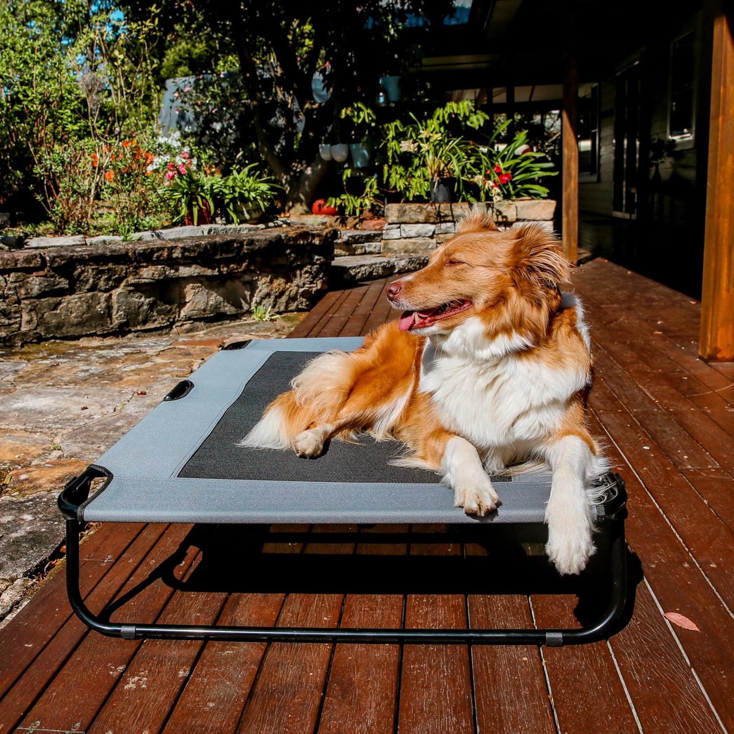 Charlie's - Adventure Foldable Travel Pet Cot 120x80x22cm - X-Large - Grey