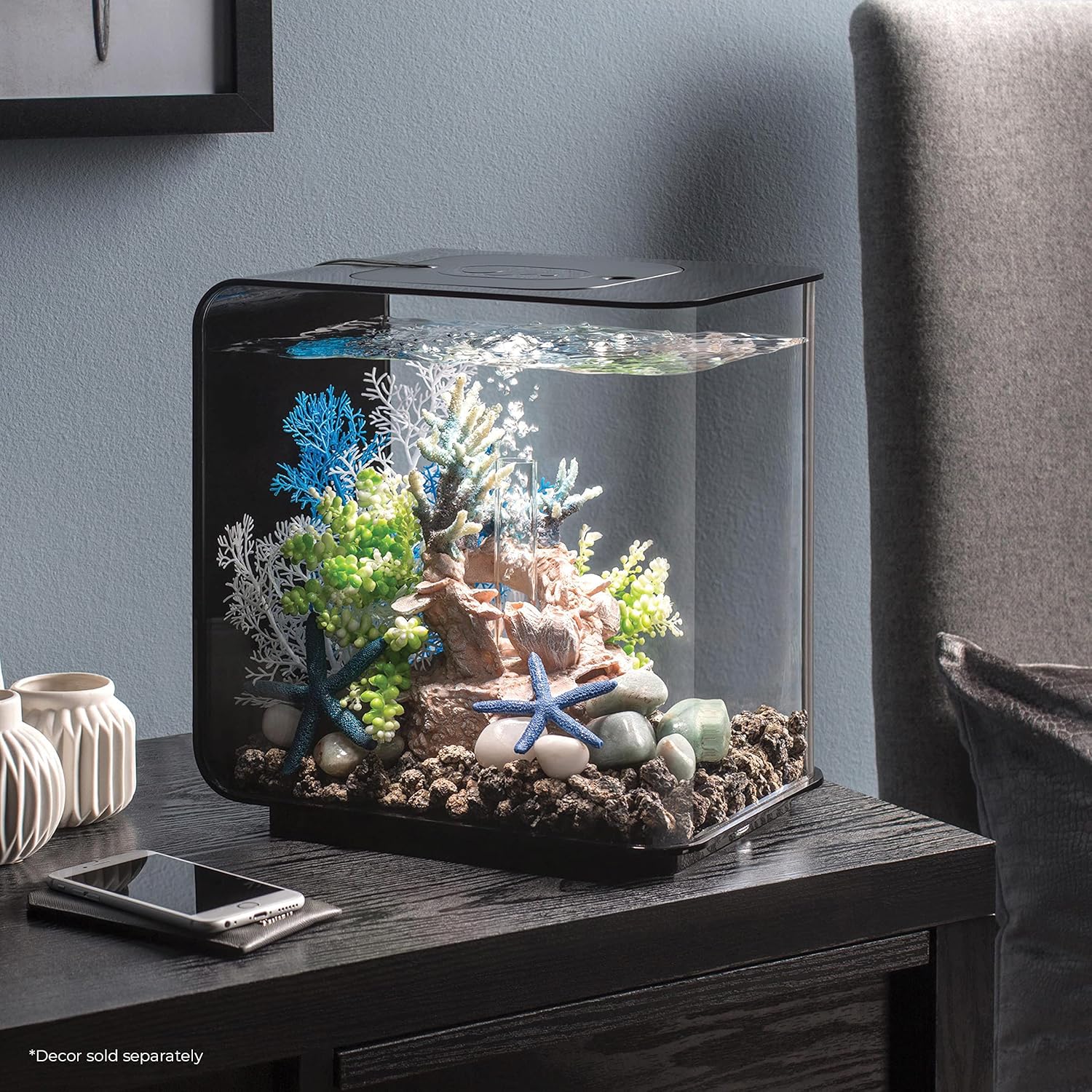 Small aquarium with decorative elements on a wooden surface against a gray wall at Pet Servo
