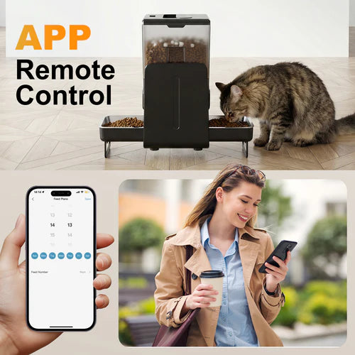 Pet feeder with app remote control feature, cat eating, and person using phone outdoors at Pet Servo