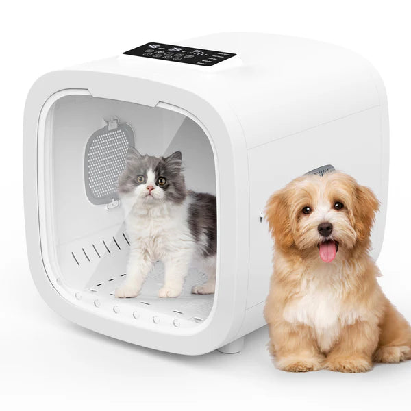 Pet carrier with a cat and a dog on a white background