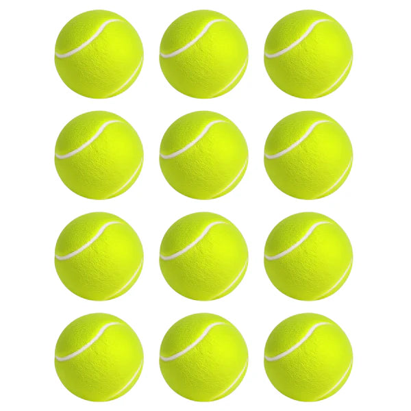 Advwin - 12 Pack Exercise Playing Balls for Pet Dog