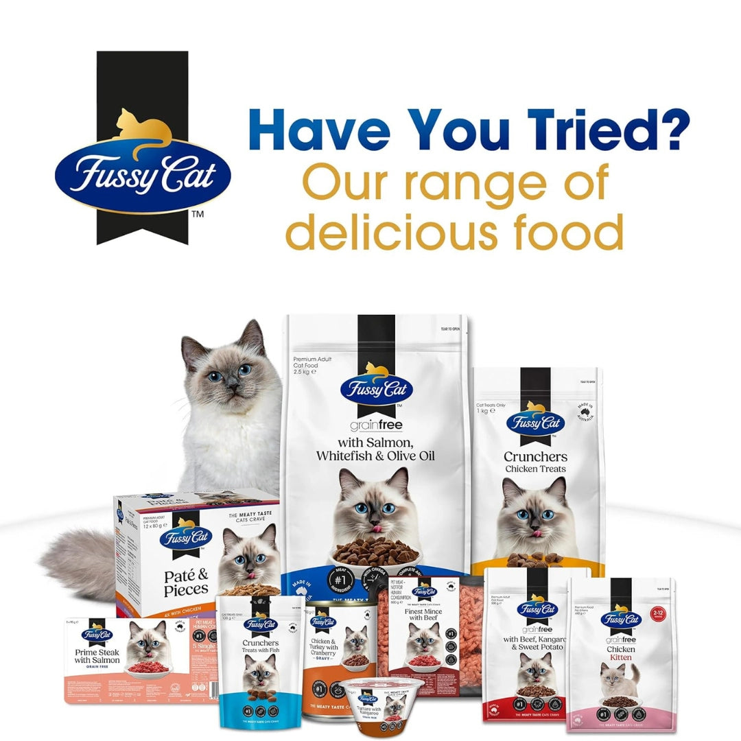 Fussy Cat pet food products with a cat on a white background