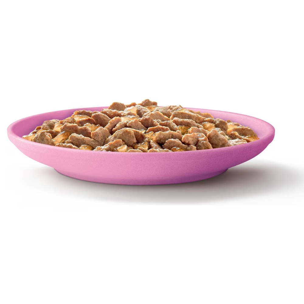 Whiskas - Kitten 2-12 Months Wet Cat Food Mixed Favourites In Jelly 85g X 12 Pack - Petservo