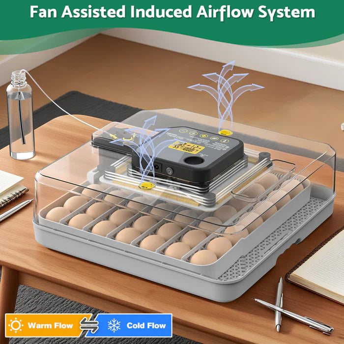Egg incubator with fan assisted induced airflow system on a wooden surface