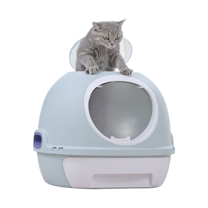 Cat standing on a light blue litter box with a transparent dome at Pet Servo