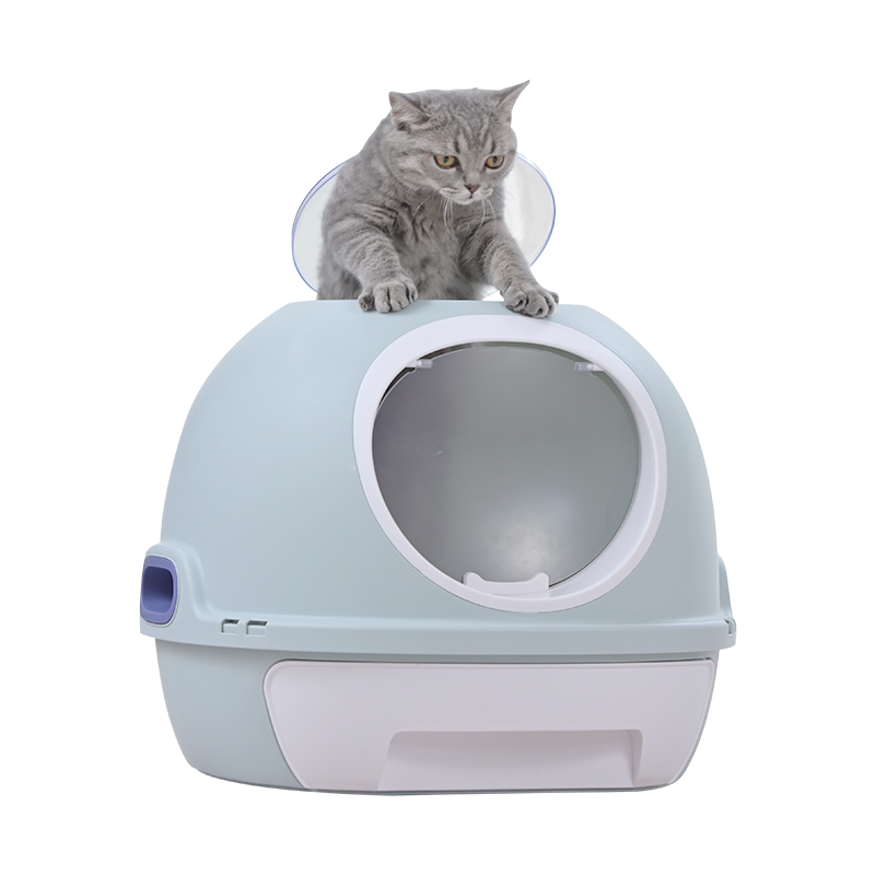 Cat standing on a light blue litter box with a transparent dome at Pet Servo
