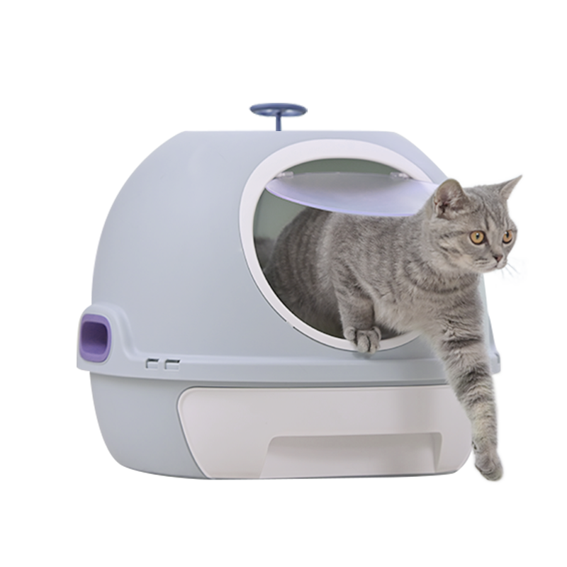 Cat standing inside a modern pet litter box on a white background at Pet Servo