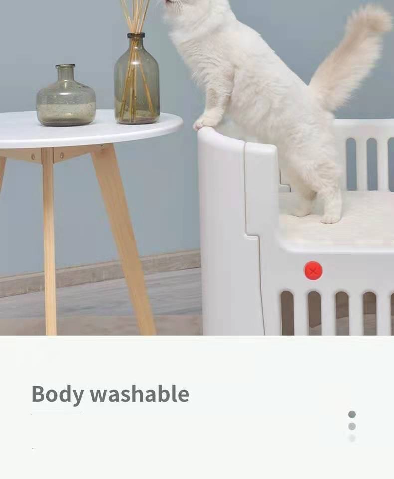 White cat on a white pet bed with a gray wall and small table in the background at Pet Servo