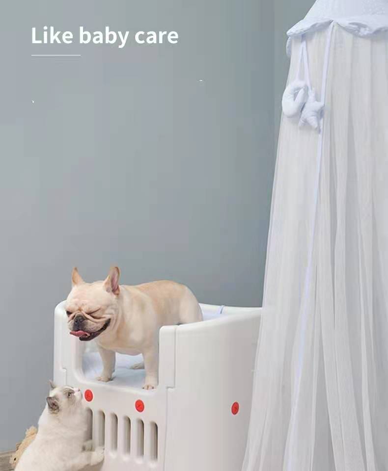 Two dogs on a white pet bed with a gray wall and white canopy in the background at Pet Servo