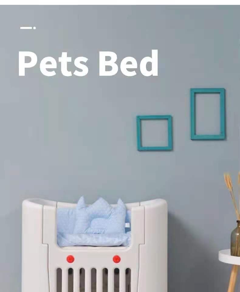 Pet bed with a blue pillow on a radiator against a gray wall with two teal frames at Pet Servo