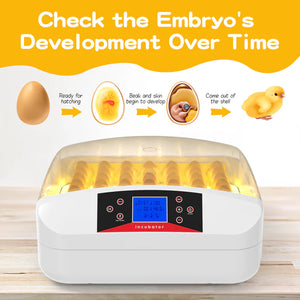 Advwin - 56 Egg Incubator Automatic Turning - Petservo-1