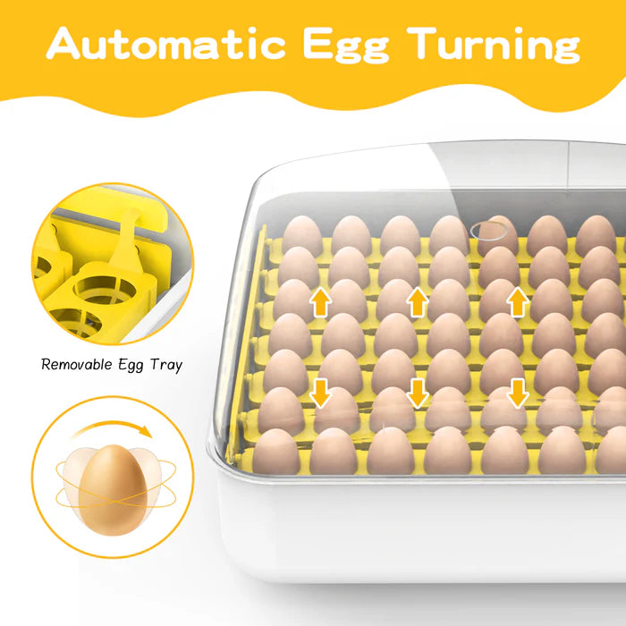 Advwin - 56 Egg Incubator Automatic Turning - Petservo-2