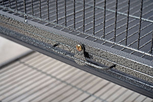 Metal wire cage with a latch on a neutral background at Pet Servo