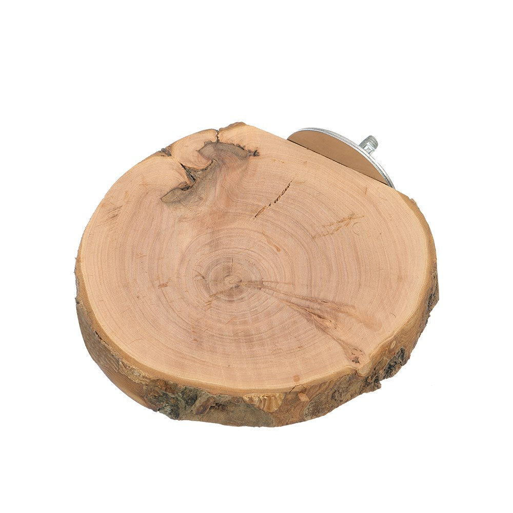 Wooden log with a metal bracket on a white background at Pet Servo