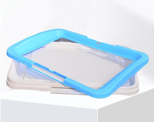 Rectangular container with a blue lid on a white background at Pet Servo