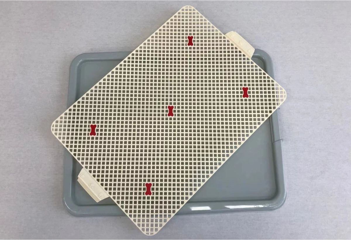 Two playing cards with red markers on a gray tray at Pet Servo