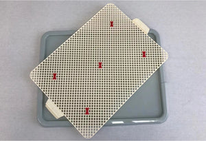 Two playing cards with red markers on a gray tray at Pet Servo