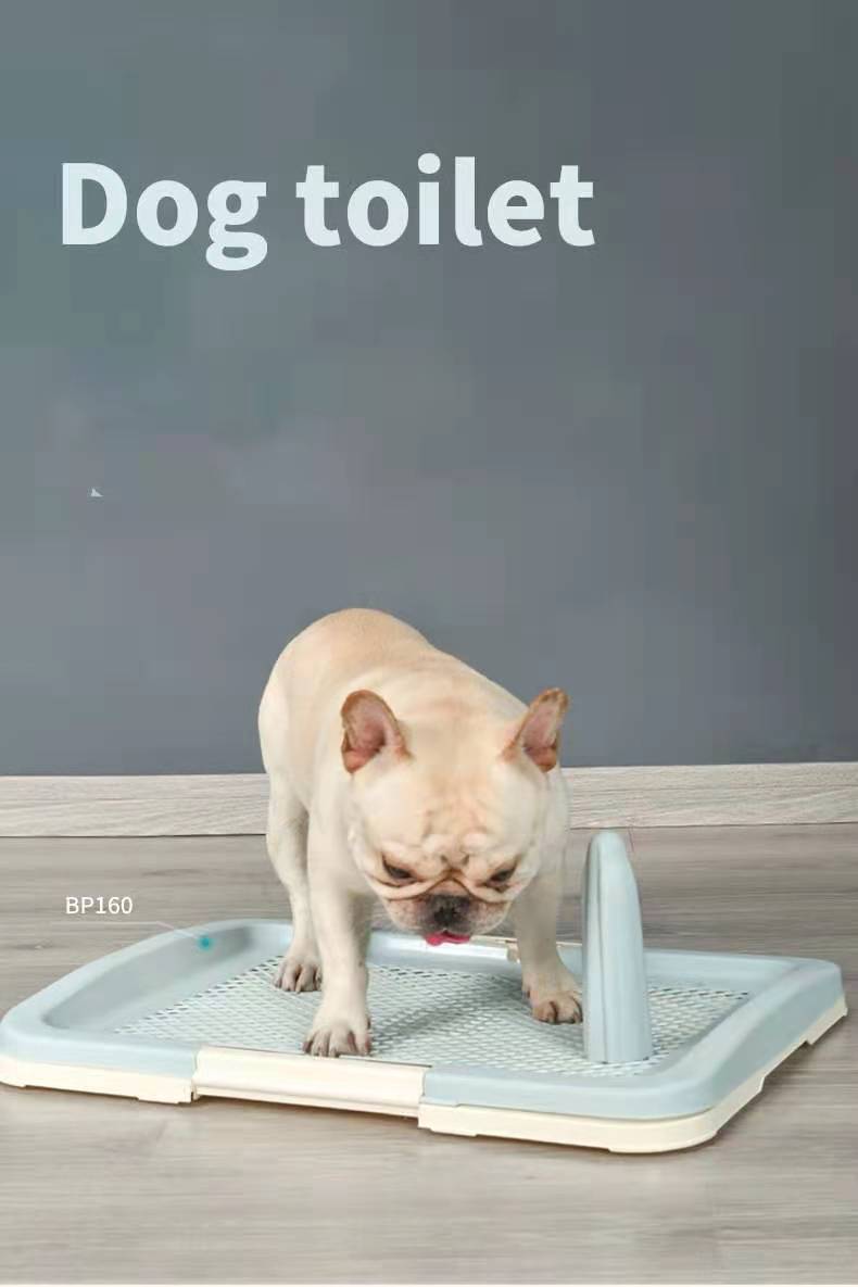 Dog using a pet toilet on a gray background at Pet Servo
