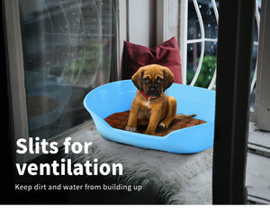 Puppy in a blue pet bed with ventilation slits, sitting on a windowsill at Pet Servo