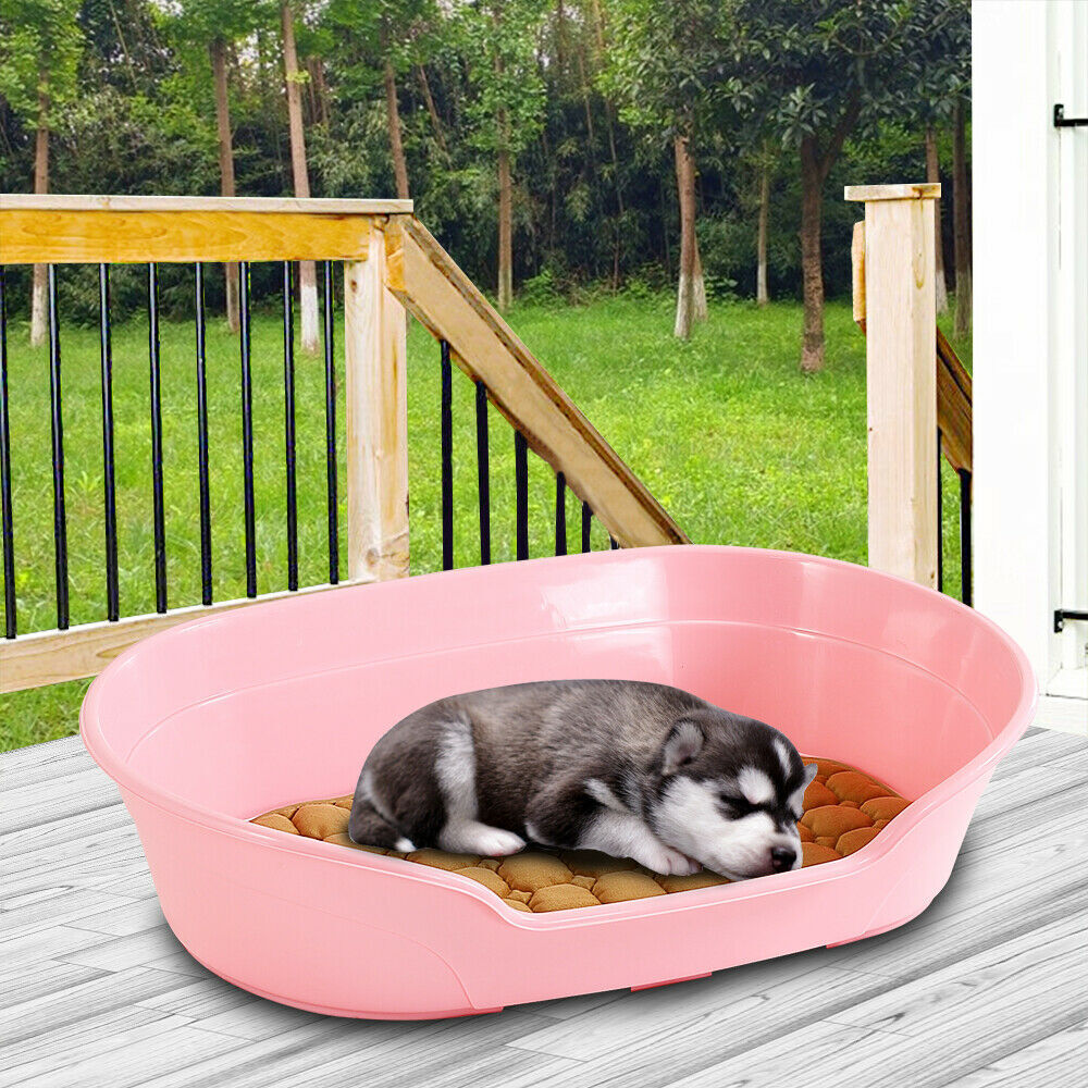Pink pet bed with a dog on a wooden deck at Pet Servo